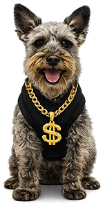Cash