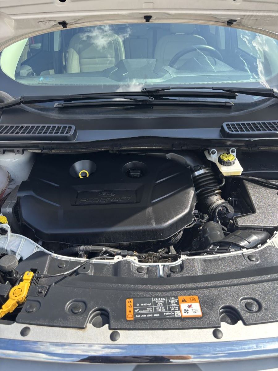 2019 Ford EscapeTitanium